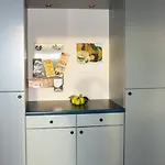 Hirschgrundblick Apartamento