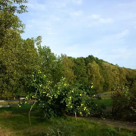 Apartman Hirschgrundblick