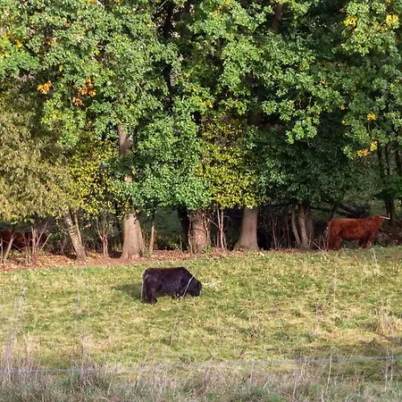 Apartment Hirschgrundblick