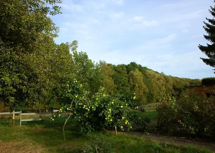 Апартаменты Hirschgrundblick