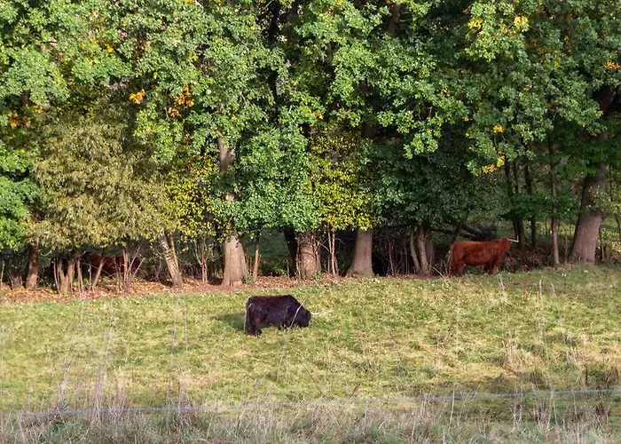 Апартаменты Hirschgrundblick